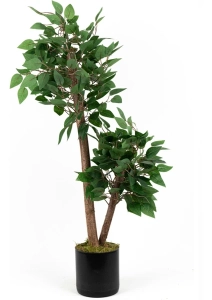 Yoğun Yapraklı 2 Gövde Yapay Benjamin Ağacı 110 cm